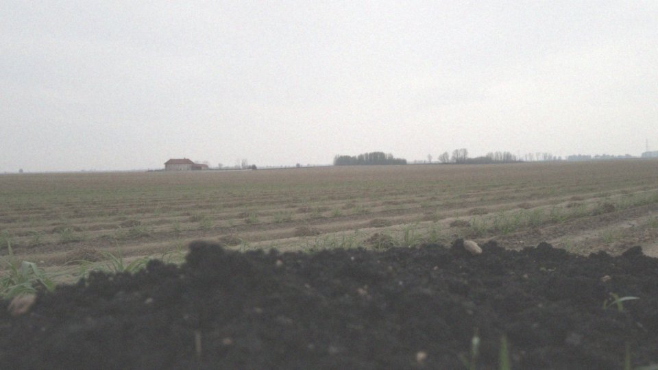 Wywóz szamba na pole – przepisy i zasady